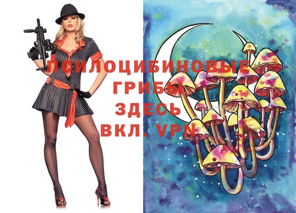 MDMA Premium VHQ Горнозаводск