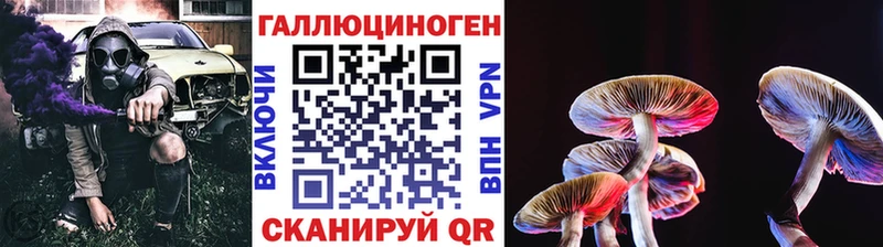 Купить где  Ветлуга  Псилоцибиновые грибы прущие грибы 